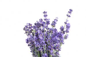 盆栽花束