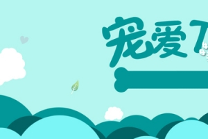 可爱风格日常需求宠物用品全屏海报
