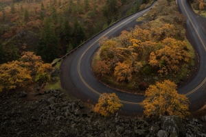 道路 树木 曲线 秋天 自然 4k壁纸 3840x2160