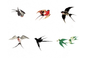 水墨画飞翔的燕子