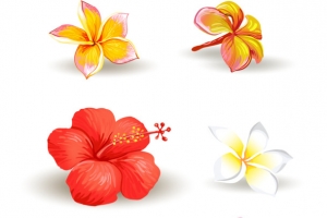 矢量手绘花朵