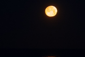 月亮 光 海 夜 深色 4k壁纸 3840x2160