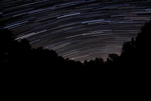 棵树 剪影 星星 长曝光 深色 4k壁纸 3840x2160