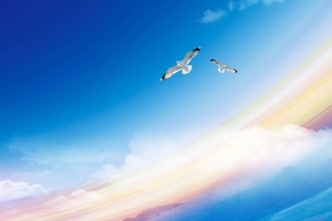 蓝色天空企业风格合作创业海报