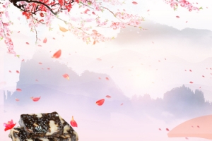 中医进补文艺梅花粉色banner