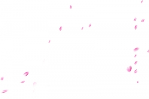 唯美粉红色花瓣飘落