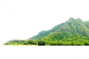 青山大山装饰图案
