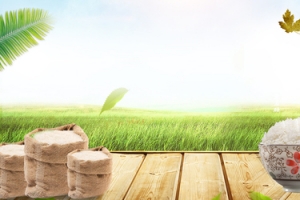 新鲜米饭简约景色banner