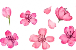 矢量手绘粉色花瓣