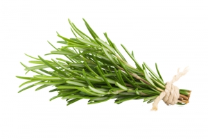 调料素材迷迭香高清PNG透明免扣设计素材免费下载