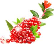 设计海报水果石榴效果红色