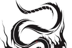 龙