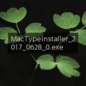 MacType Installer v20170628字体渲染效果的实用工具安装程序