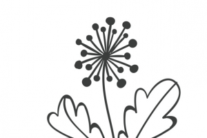 手绘玫蒲公英花卡通矢量