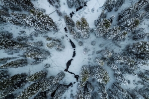 棵树 冬天 鸟瞰图 雪 缝隙 4k壁纸 3840x2160