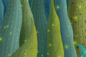森林萤火虫背景