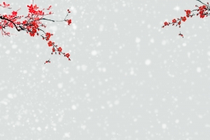 大寒文艺雪花景色banner