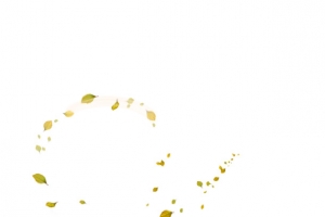 黄绿色清新树叶漂浮素材