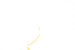 圣诞树