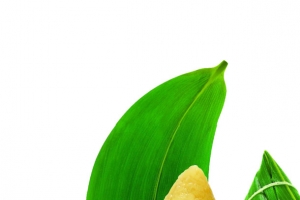 绿色高清粽子食物端午节日手绘