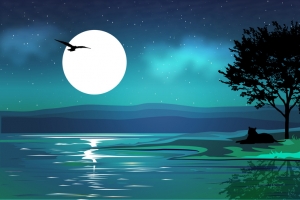 夜晚湖畔风景矢量背景素材