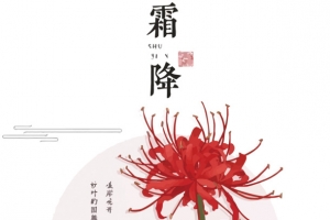 矢量霜降曼珠沙华