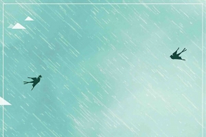 简约中国风谷雨二十四节气海报