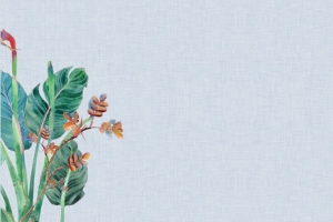 花草淘宝女装背景