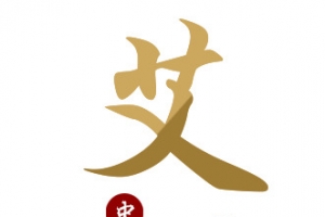 中医艾灸艾草艺术字