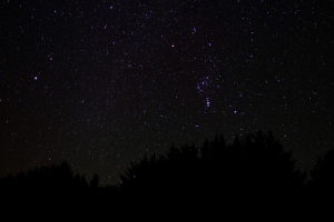 树木 黑暗 星空 夜间 4k壁纸 3840x2160