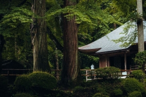 建筑 屋顶 宝塔 树木 4k壁纸 3840x2160