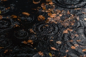 水坑 雨水 水滴 树叶 秋季 4k壁纸 3840x2160