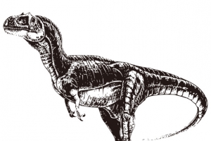 黑白手绘远古恐龙