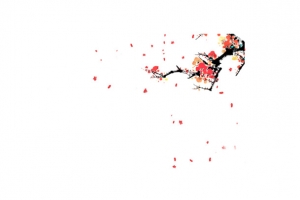 梅花