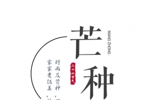 二十四节气芒种
