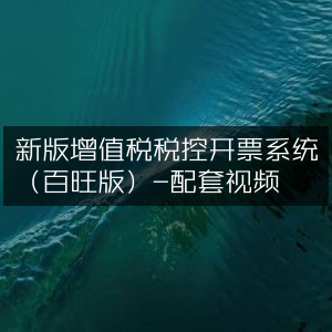 新版百旺增值税税控开票系统配套教学视频