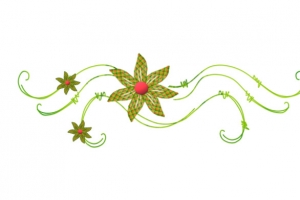 绿草漂浮
