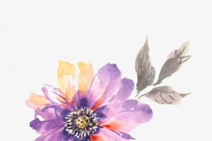 手绘水彩紫色花朵