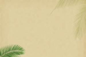 现代简洁背景