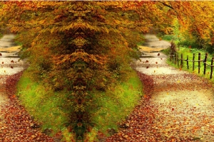 秋季秋天小路唯美背景banner