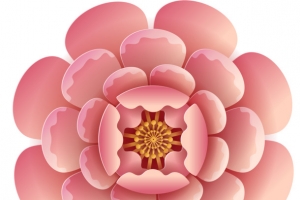 浮雕立体花朵剪纸