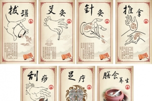 中医养生拔罐针灸艾灸药膳