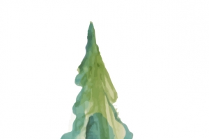手绘松树
