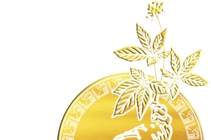 烫金人参铜鼓动植物设计素材高清PNG透明图片免费下载