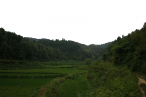 林间农田高清PNG透明背景摄影风景设计素材免费下载