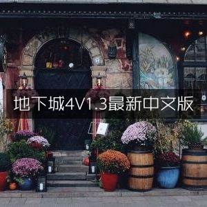 地下城4V1.3中文版最新更新
