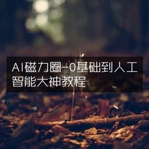 AI磁力圈，零基础晋升人工智能大神教程