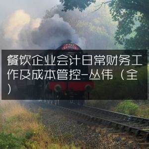 餐饮企业会计日常财务与成本控制实操指南-丛伟（完整版）
