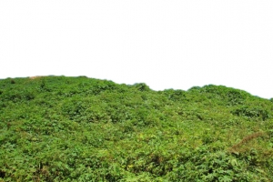 山坡一角