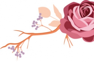 蔷薇花花藤标签